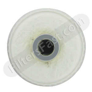 Aqua Pure CUNO AP2150 Iron Removal Filters 2 pack