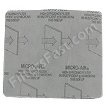 Electrolux Renaissance Micro Vacuum Filters-2 Pack