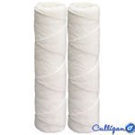Culligan CW-F Sediment Filters - 10 Micron