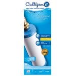 recommended product Culligan RV-800 Inline RV Filter-Carbon and KDF & Hose