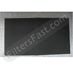 Hunter 30901 Carbon Filter Replacement
