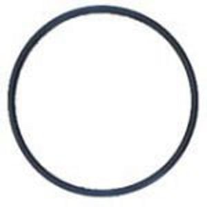 Everpure EV310214 - Replacement O-ring