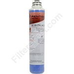 Pentek QC10-TSGACR Replacement Cartridge