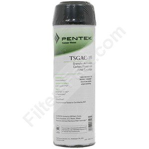 Pentek TSGAC-10 GAC/Phosphate Filter Cartridge