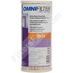 OmniFilter RS15 Whole House Pleated Water Filter