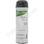Pentek TSGAC-10 GAC/Phosphate Filter Cartridge
