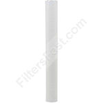 Watts 20" Sediment Water Filter - 1 Micron
