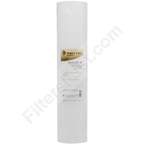 Pentek DGD-2501-20 Dual Gradient Density Filter
