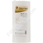Pentek DGD-2501 Dual Gradient Density Filter