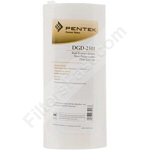 Pentek DGD-2501 Dual Gradient Density Filter
