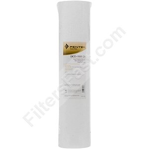 Pentek DGD-5005-20 Dual Gradient Density Filter
