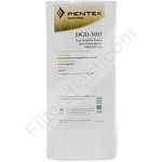 Pentek DGD-5005, American Plumber WDGD-5005 Filter