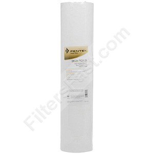 Pentek DGD-7525-20 Dual Gradient Density Filter