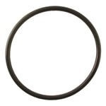 Hydrotech O-Rings NUTRIPURE replacement part Hydrotech Housing O-ring 34201026