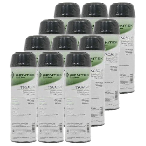 Pentek TSGAC-10 GAC/Phosphate Filter Cartridge 12-Pack