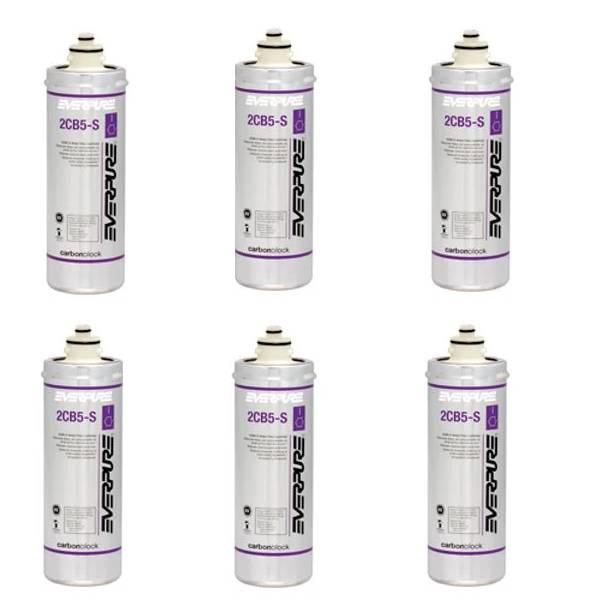 Everpure EV9617-22 2CB5-S Replacement Filter Cartridge EV961722 - 6-Pack