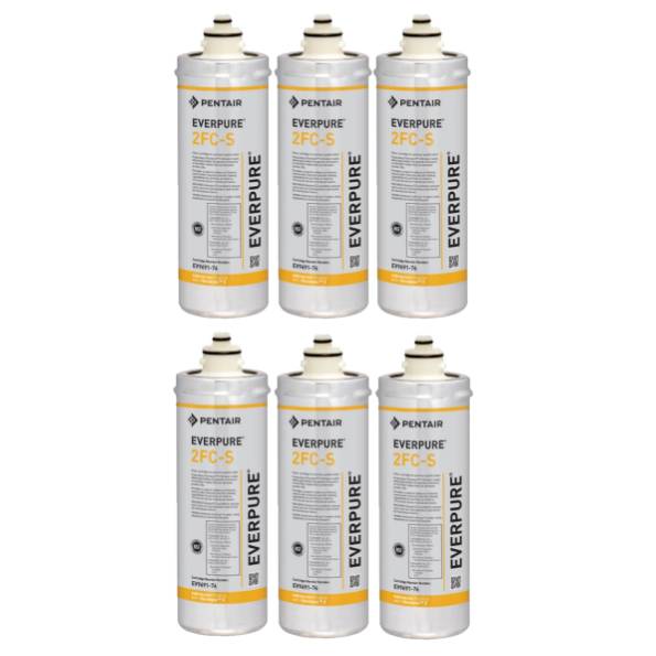 Everpure EV969176 EV9691-76  6-Pack 2FC-S Cartridge