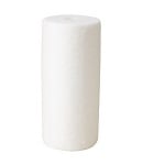 FiltersFast FFDG-10BB-1 replacement for  Water Filters big blue
