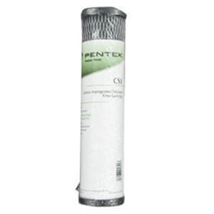 Pentek CS1 Replacement Carbon Water Filter 2.5x10