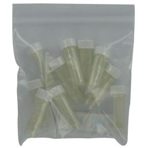 Watersafe Drinking Water Test Kit Bacteria 10 Pack - 10-Pack