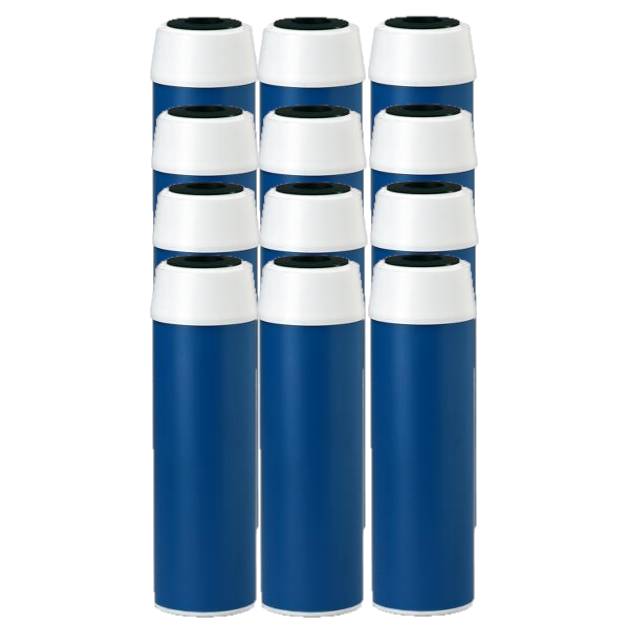 Everpure Costguard CGT-10S Water Filter Cartridge