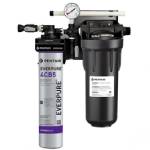 Everpure EV979750 KleenSteam CT Water Filter System