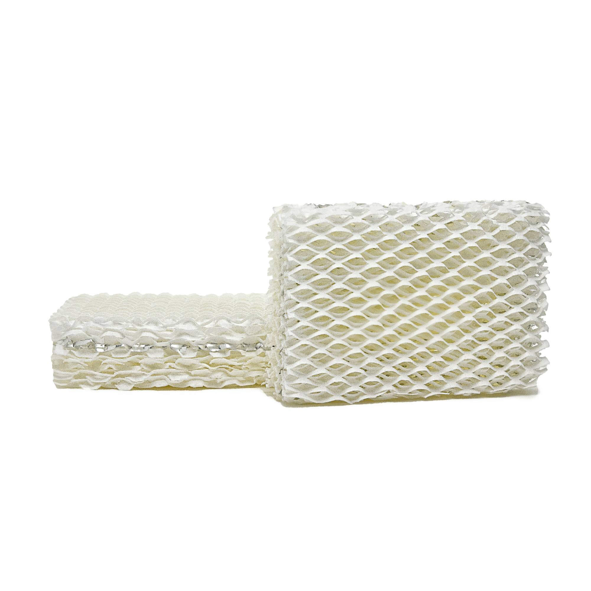 Filters Fast® D13-C Replacement for ReliOn WF813 Filter - 2 Pack