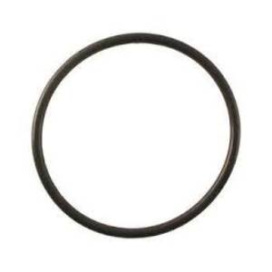 Hydrotech Inlet Diaphragm Cover O-Ring 34201024