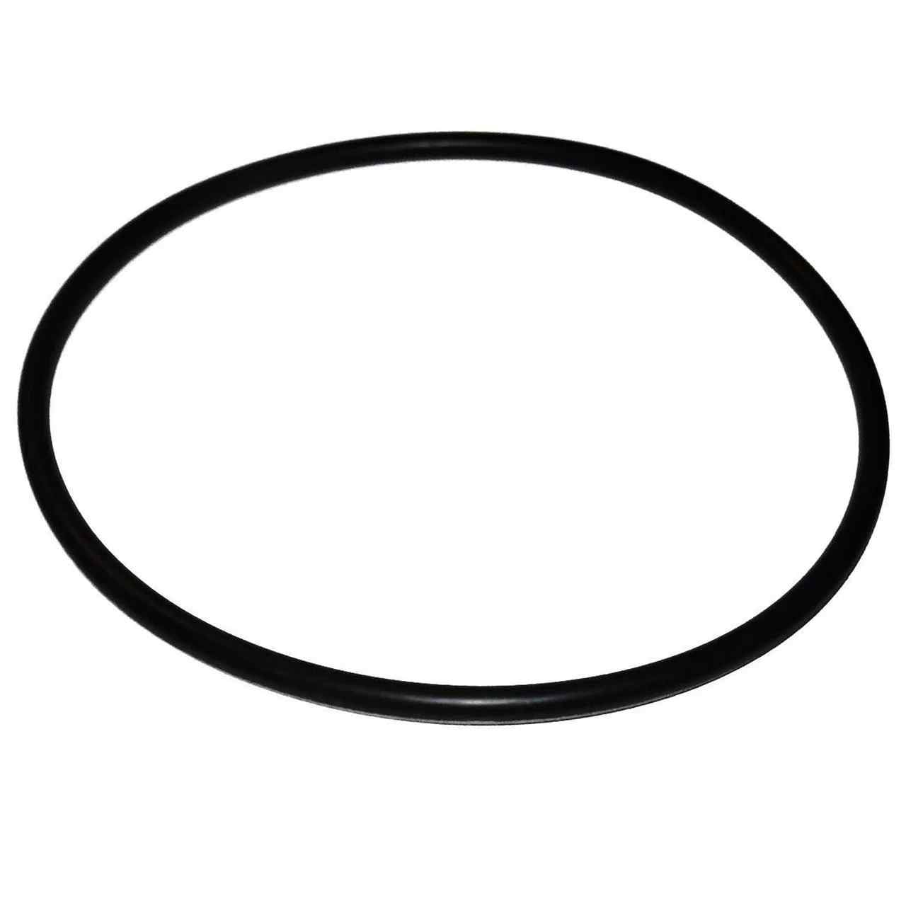 Pentair R51120 EPDM #241 Buna-N O-Ring for Dura-Series Housings