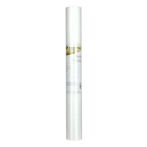 Pentek P25-20 20