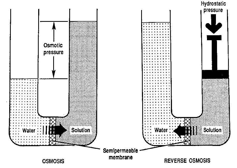 Osmosis vs. RO